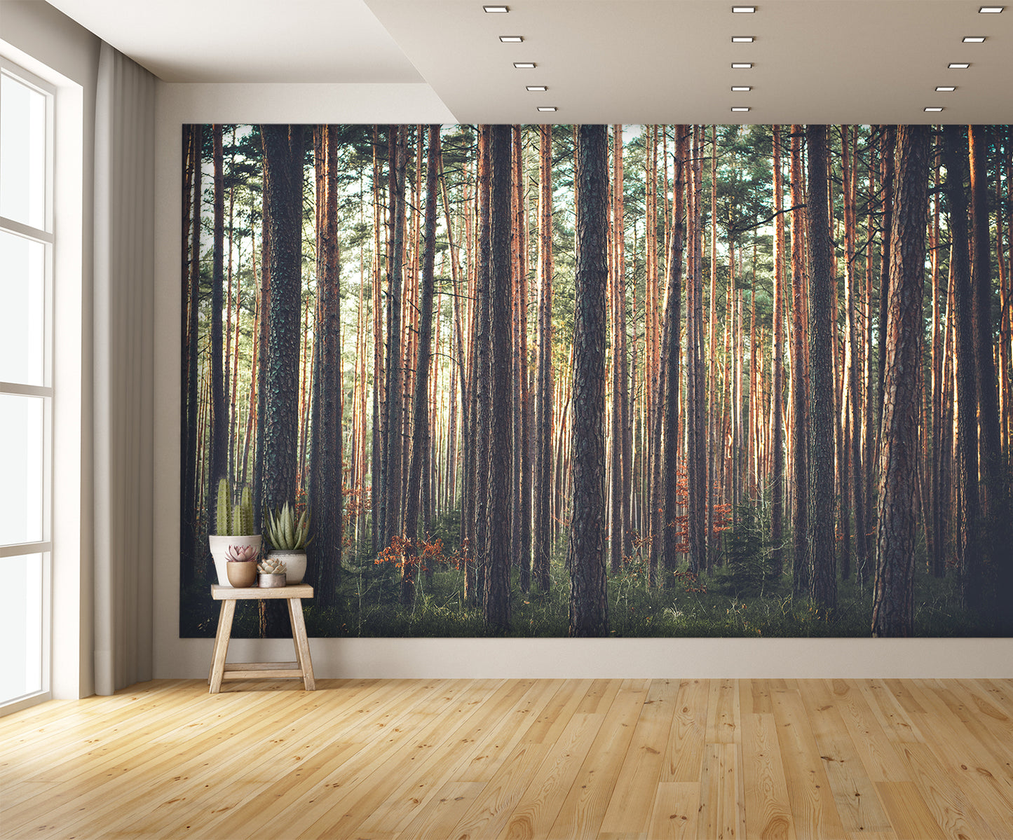 Woodland Scene Wallpaper