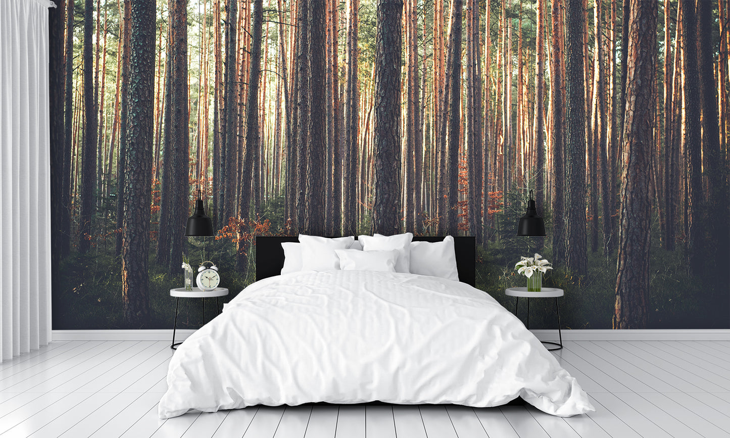 Woodland Scene Wallpaper